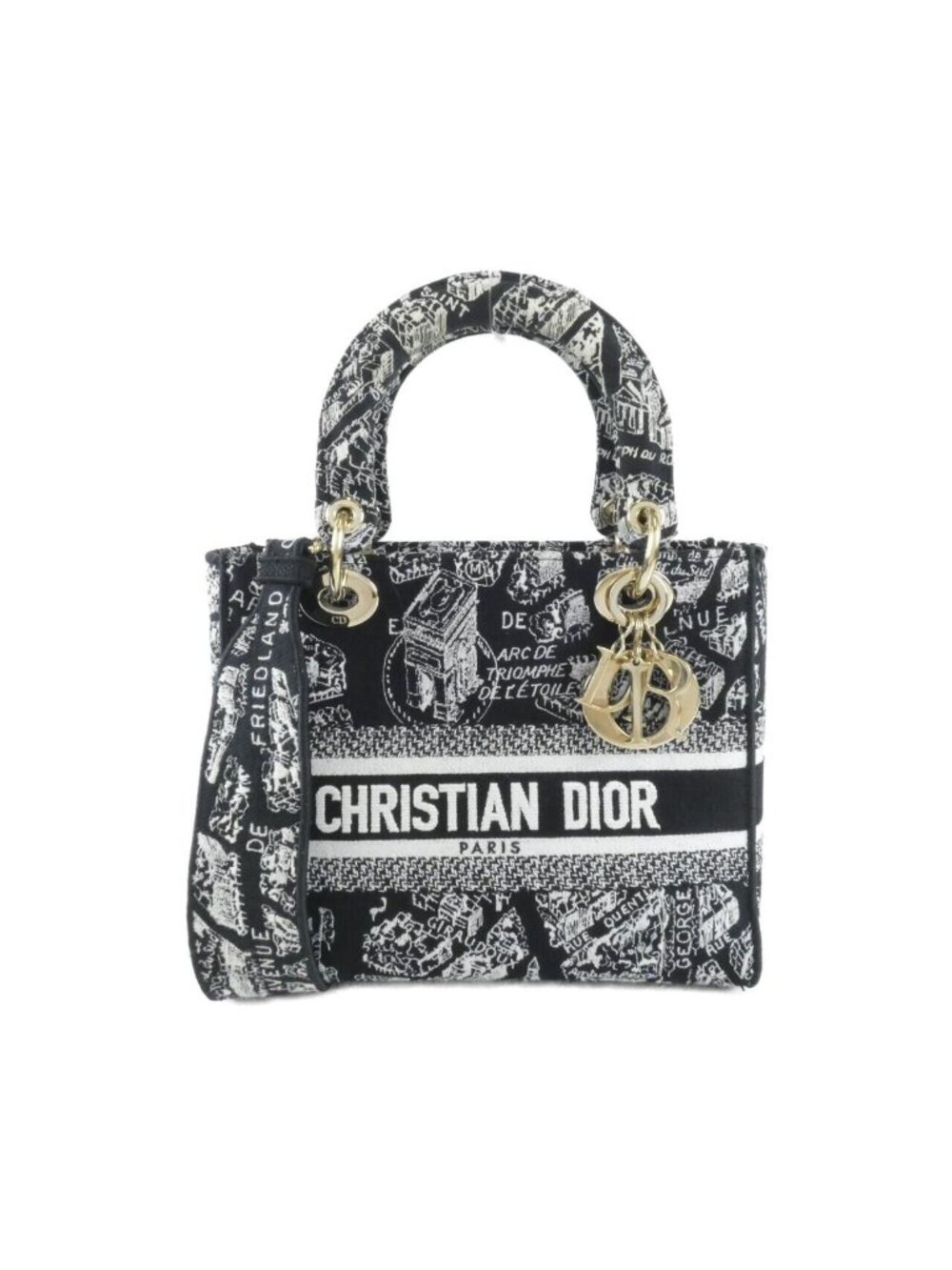 Dior Plan de Paris Lady D-lite Medium Bag